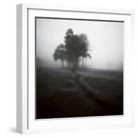 Fog Tree Study 1-Jamie Cook-Framed Giclee Print