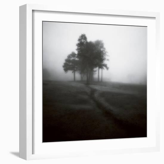 Fog Tree Study 1-Jamie Cook-Framed Giclee Print