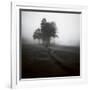 Fog Tree Study 1-Jamie Cook-Framed Giclee Print