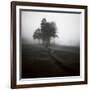 Fog Tree Study 1-Jamie Cook-Framed Giclee Print