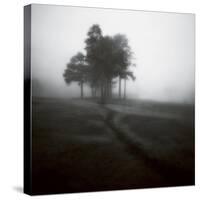 Fog Tree Study 1-Jamie Cook-Stretched Canvas