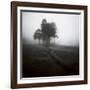 Fog Tree Study 1-Jamie Cook-Framed Giclee Print