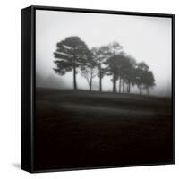 Fog Tree Study 2-Jamie Cook-Framed Stretched Canvas