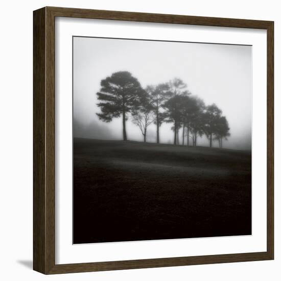 Fog Tree Study 2-Jamie Cook-Framed Giclee Print