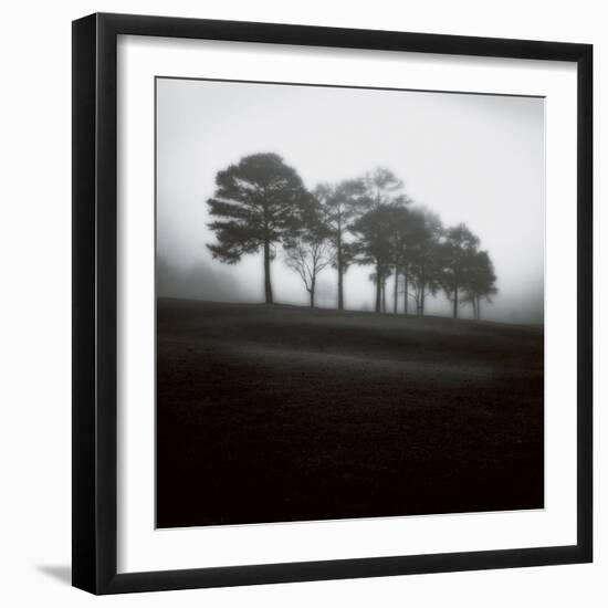 Fog Tree Study 2-Jamie Cook-Framed Giclee Print