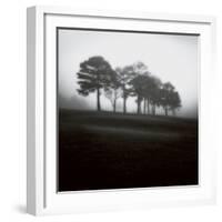 Fog Tree Study 2-Jamie Cook-Framed Giclee Print