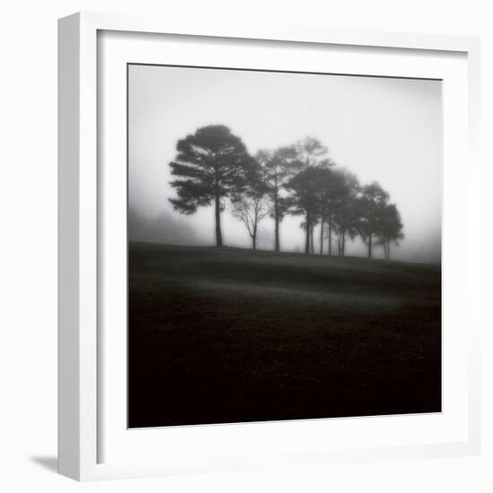 Fog Tree Study 2-Jamie Cook-Framed Giclee Print