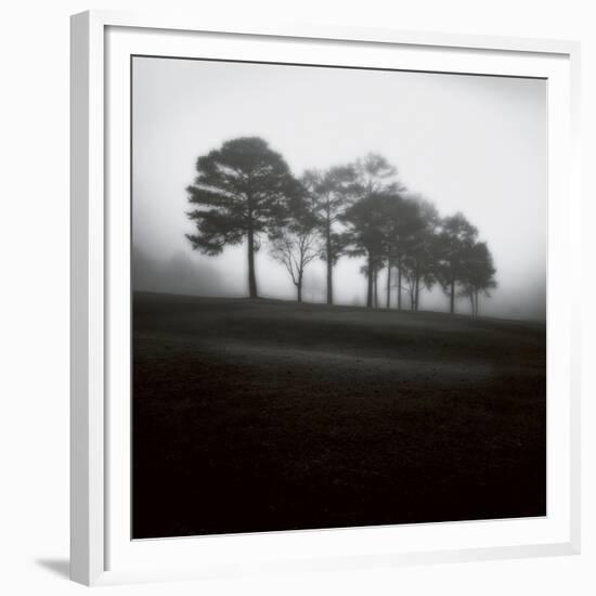 Fog Tree Study 2-Jamie Cook-Framed Giclee Print