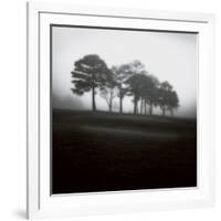 Fog Tree Study 2-Jamie Cook-Framed Giclee Print