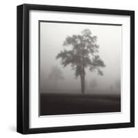 Fog Tree Study I-Jamie Cook-Framed Giclee Print