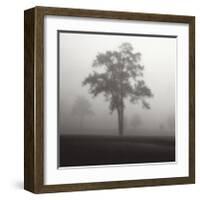 Fog Tree Study I-Jamie Cook-Framed Giclee Print