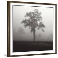 Fog Tree Study I-Jamie Cook-Framed Giclee Print