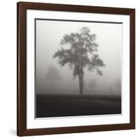 Fog Tree Study I-Jamie Cook-Framed Giclee Print