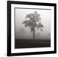 Fog Tree Study I-Jamie Cook-Framed Giclee Print