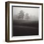 Fog Tree Study II-Jamie Cook-Framed Giclee Print