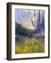 Fog Valley-null-Framed Giclee Print