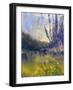 Fog Valley-null-Framed Giclee Print