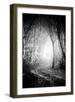 Fog Walkers in Forest-Rory Garforth-Framed Photographic Print