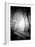 Fog Walkers in Forest-Rory Garforth-Framed Photographic Print