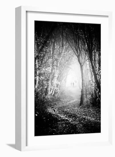 Fog Walkers in Forest-Rory Garforth-Framed Photographic Print