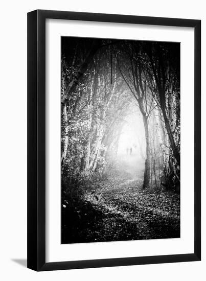 Fog Walkers in Forest-Rory Garforth-Framed Premium Photographic Print