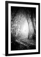 Fog Walkers in Forest-Rory Garforth-Framed Photographic Print