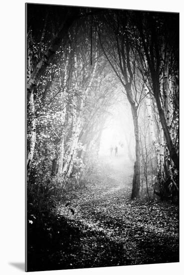 Fog Walkers in Forest-Rory Garforth-Mounted Photographic Print