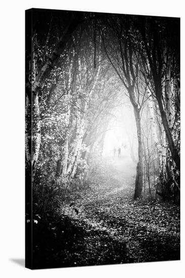 Fog Walkers in Forest-Rory Garforth-Stretched Canvas