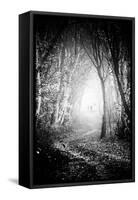 Fog Walkers in Forest-Rory Garforth-Framed Stretched Canvas