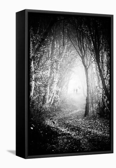 Fog Walkers in Forest-Rory Garforth-Framed Stretched Canvas