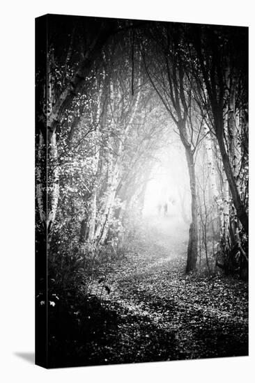 Fog Walkers in Forest-Rory Garforth-Stretched Canvas