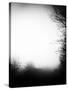 Fog Walkers-Rory Garforth-Stretched Canvas