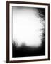 Fog Walkers-Rory Garforth-Framed Photographic Print