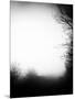 Fog Walkers-Rory Garforth-Mounted Photographic Print