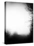 Fog Walkers-Rory Garforth-Stretched Canvas