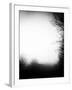 Fog Walkers-Rory Garforth-Framed Premium Photographic Print