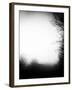 Fog Walkers-Rory Garforth-Framed Premium Photographic Print