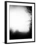 Fog Walkers-Rory Garforth-Framed Premium Photographic Print