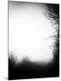 Fog Walkers-Rory Garforth-Mounted Premium Photographic Print