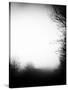 Fog Walkers-Rory Garforth-Stretched Canvas