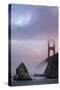 Fog Waves, North Fort Baker View, Golden Gate Bridge San Francisco-Vincent James-Stretched Canvas