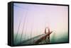 Fog White Out at Golden Gate Bridge, San Francisco-Vincent James-Framed Stretched Canvas