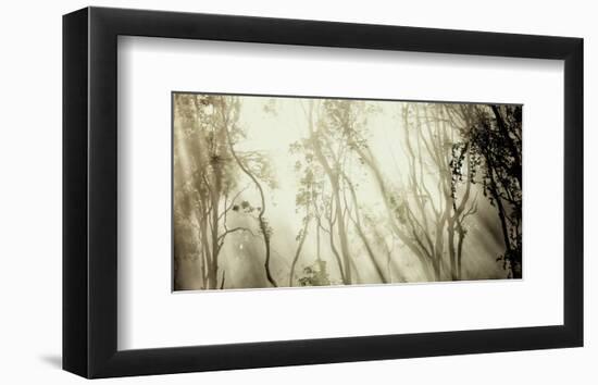 Fog-null-Framed Art Print