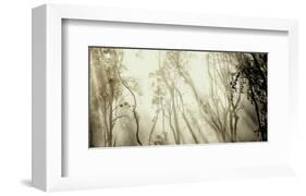 Fog-null-Framed Art Print