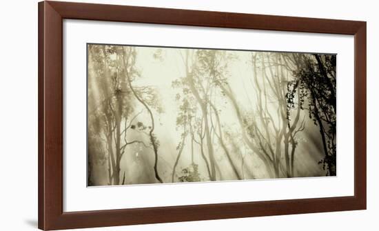 Fog-null-Framed Art Print