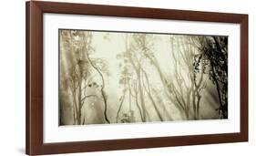 Fog-null-Framed Art Print