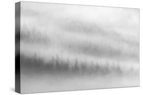 Fog-Ursula Abresch-Stretched Canvas