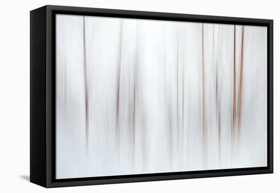 Fog-Ursula Abresch-Framed Stretched Canvas