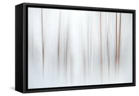 Fog-Ursula Abresch-Framed Stretched Canvas