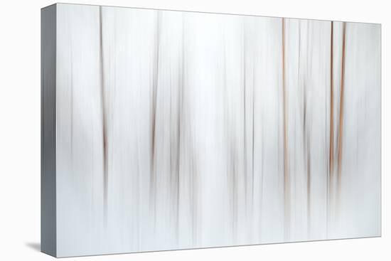 Fog-Ursula Abresch-Stretched Canvas